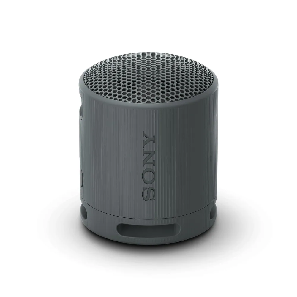 Sony SRS-XB100