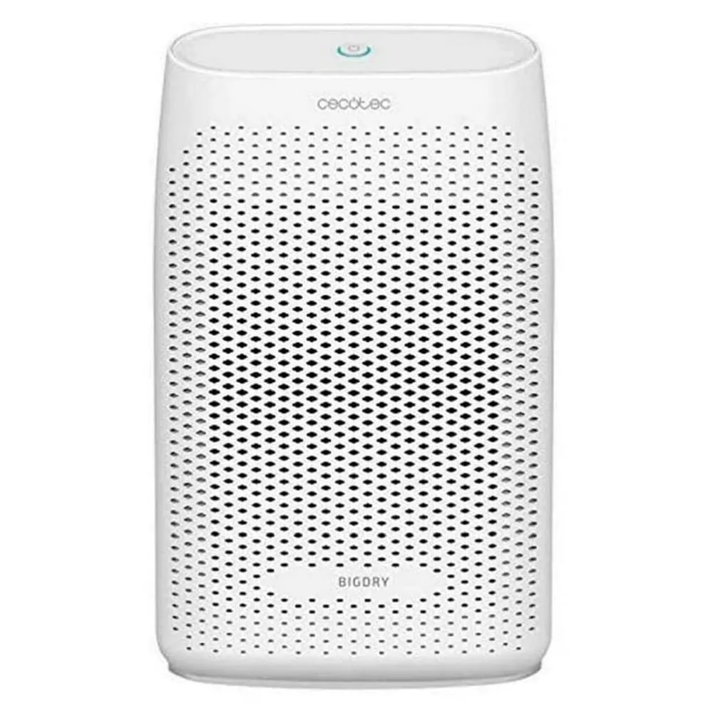 Cecotec BigDry 2000 Essential