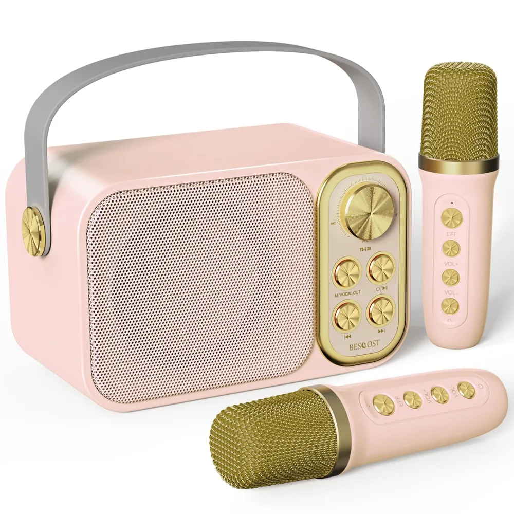 Karaoke 2 micros 10 W