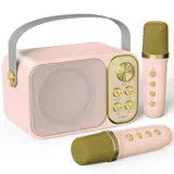 Karaoke 2 micros 10 W